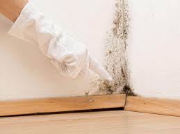 Mold Documentation for Insurance Claims in Orosi, CA